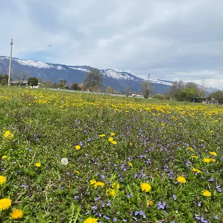 Il Giardino Di Elena サチーレ